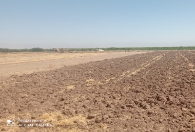 فروش زمین کشاورزی ۳۰۰۰ متر قزوین الوند شهرک پیریوسفیان