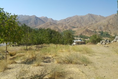 فروش زمین در روستای وهنان همدان بر جاده ۴۱۰ متر