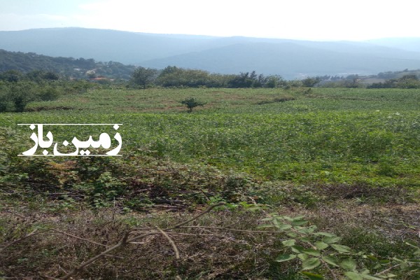 فروش زمین کشاورزی در ساری روستای سرکت 2000 متر-1