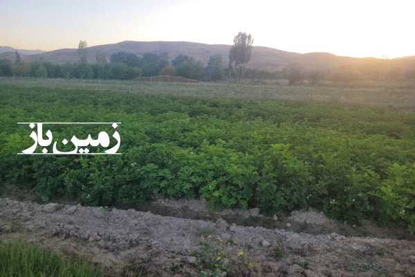 فروش زمین کشاورزی ۱۲۰۰ متر در روستای شهراباد فیروزکوه-1