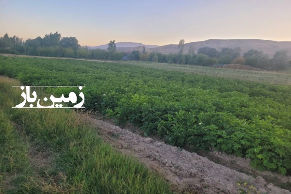 فروش زمین کشاورزی ۱۲۰۰ متر در روستای شهراباد فیروزکوه-2