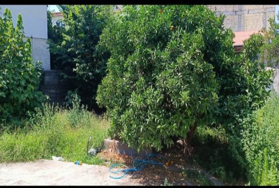 فروش زمین همراه کلنگی ۴۳۰ متر در تنکابن خرم آباد خیابان مطهری