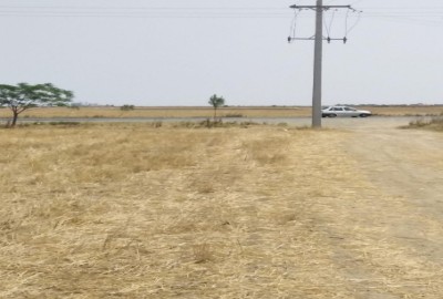 فروش زمین کشاورزی در گلستان بندر ترکمن 2000 متر