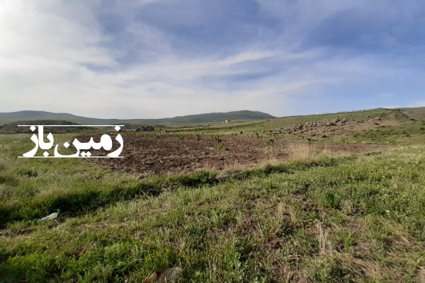 فروش زمین ۳۵۰۰ متری در روستای زرشک منطقه دریابک قزوین-1