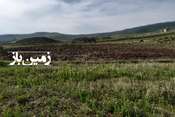فروش زمین ۳۵۰۰ متری در روستای زرشک منطقه دریابک قزوین-2
