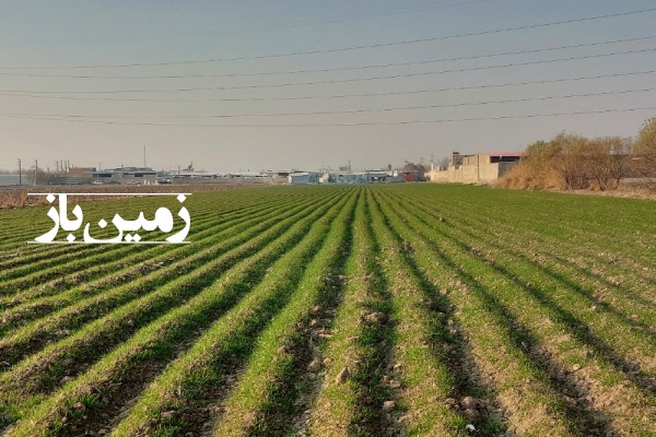 فروش زمین کشاورزی قلعه نو جاده ورامین یک هکتار-4