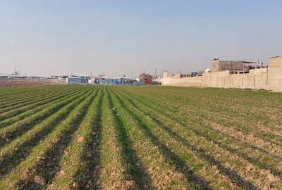 فروش زمین کشاورزی قلعه نو جاده ورامین یک هکتار