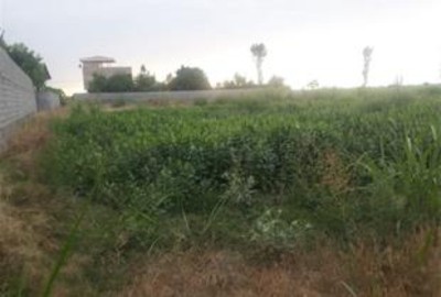 فروش زمین کشاورزی ۱۰۰۰ متر در بابلسر بهنمیر روستای کرفون