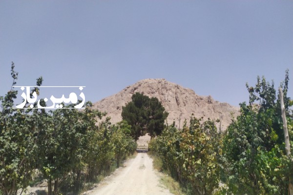 باغ ١٦٧٠٠ متری درختان ۲۰ ساله  جاده روستای میراباد پیربکران-2
