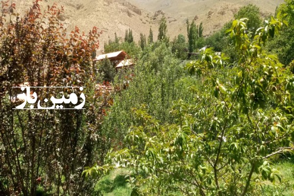 زمین ۲۰۰ متری دربلده روستای سادات محله-3