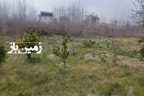 زمین گیلان لنگرود چاف و چمخاله محله گالشکلام ۵۰۰۰ متر-2