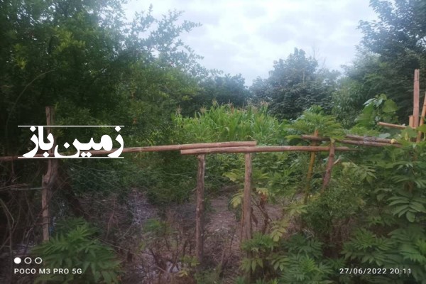 190 متر زمین مسکونی با مجوز در روستای چافوچاه لشت نشا-3