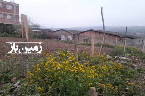 زمین مسکونی ۲۷۸ متر ساری میاندرود روستای جامخانه-2