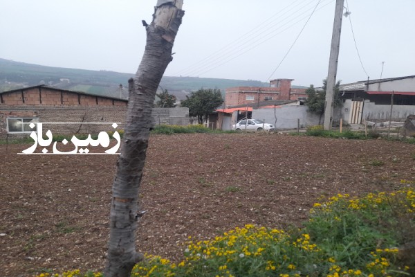 زمین مسکونی ۲۷۸ متر ساری میاندرود روستای جامخانه-4