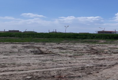 زمین کشاورزی ۱۰۰۰ متر در پیشوای ورامین