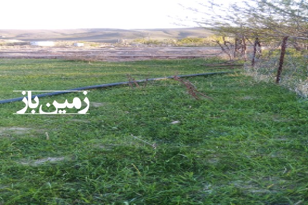 زمین کشاورزی 1000 متری ملک آباد روستای بازه حوض علیا-2