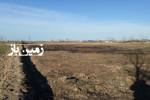 زمین باغی در بندر کیاشهر کوی امام میان محله 5000 متر-3