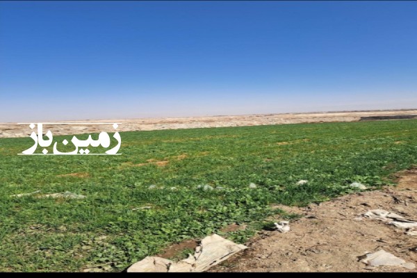 زمین کشاورزی بلوار توس مشهد سر دانش ۳۵۰۰ متر-3