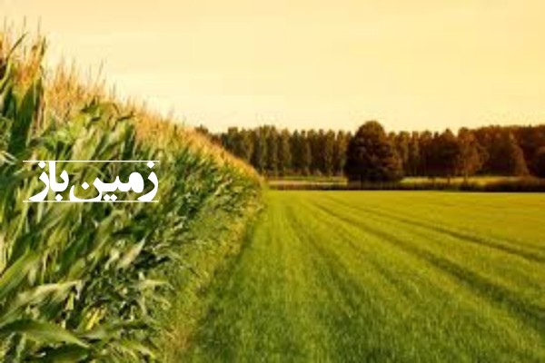 زمین کشاورزی در جاده لاهیجان رشت-1