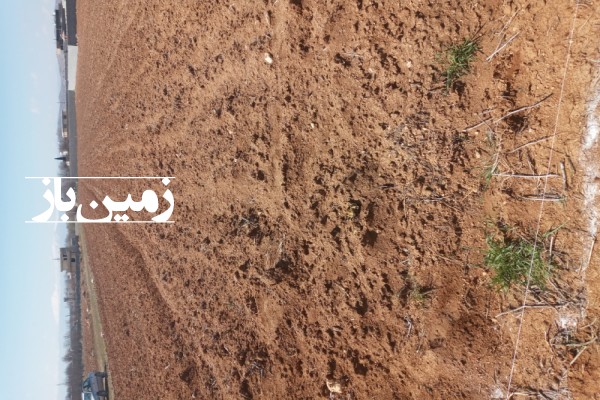 زمین باغ ۱۰۰۰ متری در سپیدان هماشهر استان فارس-2