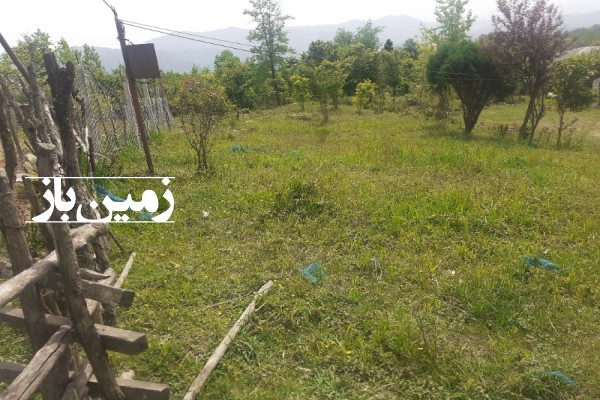 زمین مسکونی در روستای خلیلان چماچا شفت گیلان-4