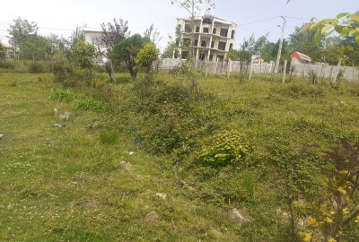 زمین مسکونی در روستای خلیلان چماچا شفت گیلان