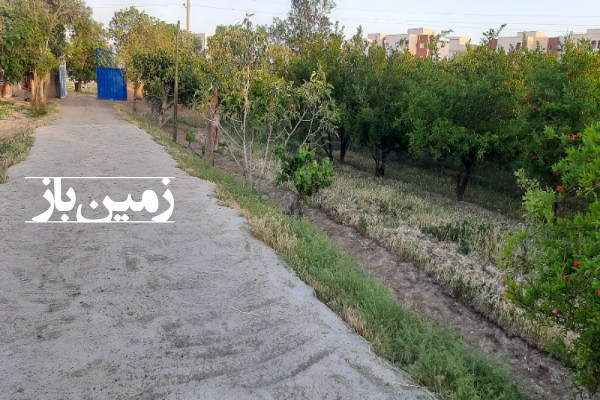 باغ انار با 2000 متر زمین سلامشهر بلوار الغدیر-1