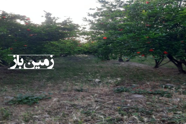 باغ انار با 2000 متر زمین سلامشهر بلوار الغدیر-2