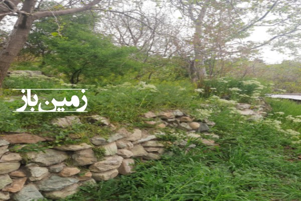 باغچه ۳۱۰ متر زمین در تهران شهران فلکه دوم-1
