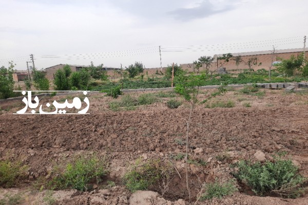 زمین کشاورزی ۴۷۶ متری روستای چیچکلو اسلامشهر سنددار-2