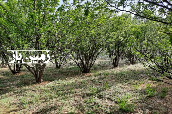 باغچه در دشت کلفور فیروزکوه با ۷۰۵ متر زمین-2