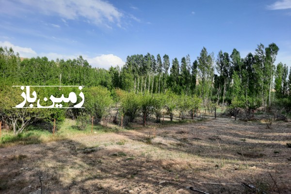 باغچه در دشت کلفور فیروزکوه با ۷۰۵ متر زمین-3