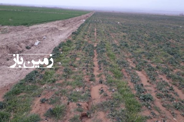 زمین کشاورزی 3 هکتار فارس بختگان روستای دهمورد-1