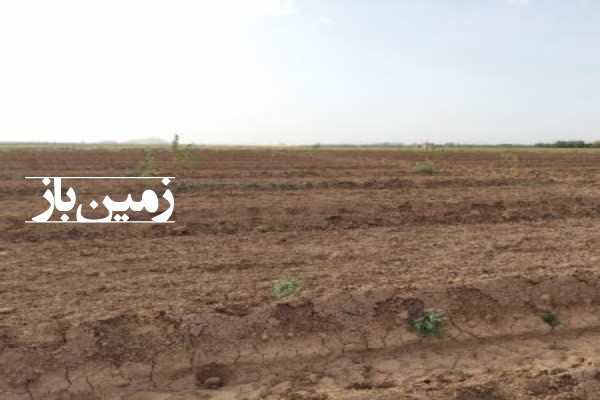 زمین کشاورزی 3 هکتار فارس بختگان روستای دهمورد-2