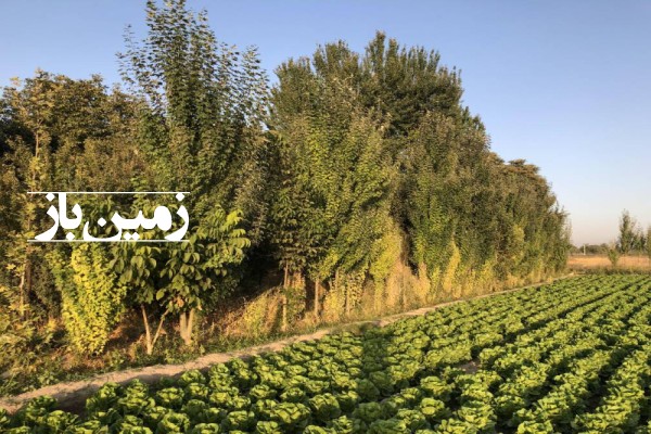 زمین کشاورزی ۳ هکتار در نظرآباد بختیار البرز-1