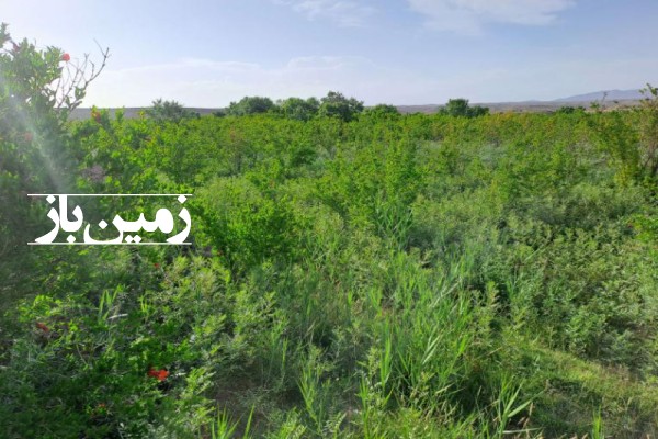 زمین کشاورزی 3000 متر در روستای طایقان جاده قدیم اصفهان-2