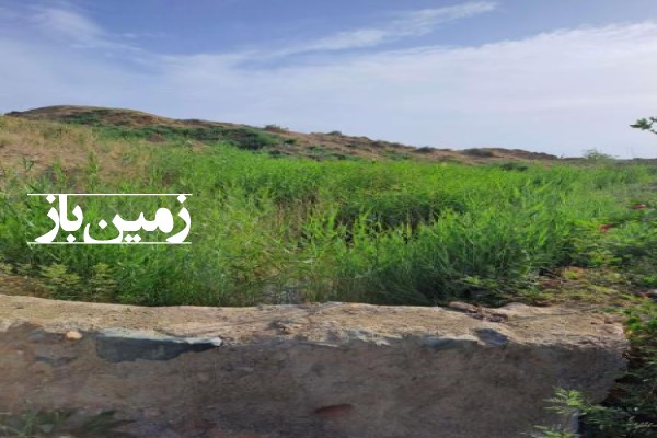 زمین کشاورزی 3000 متر در روستای طایقان جاده قدیم اصفهان-3