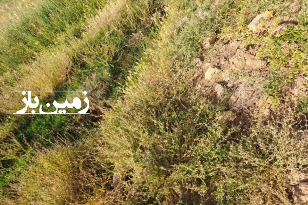زمین کشاورزی 3000 متر در روستای طایقان جاده قدیم اصفهان-4