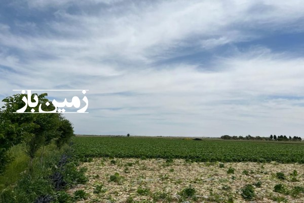 زمین کشاورزی 55000 متر کرج نظر آباد تنکمان روستای علی سید-4