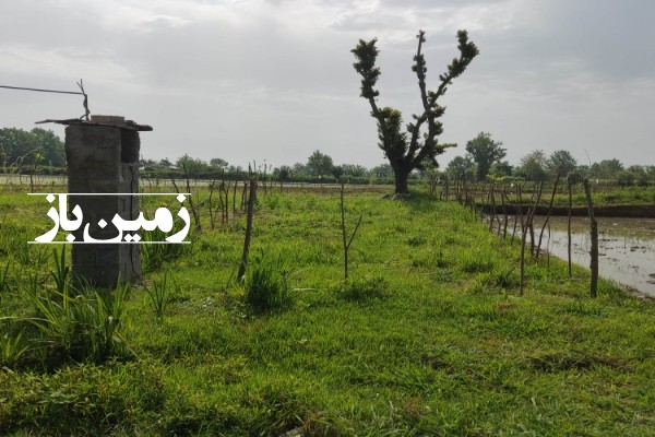 زمین مسکونی باغی و کشاورزی 12300 متر در روستای مرخال شفت-1