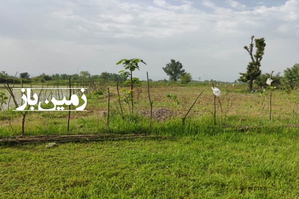 زمین مسکونی باغی و کشاورزی 12300 متر در روستای مرخال شفت-2
