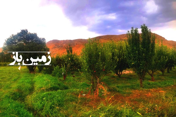 باغ سیب 1245 متر زمین کنار جاده اصلی تهران شمال روستای نمرود-2