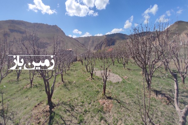 باغ سیب 1245 متر زمین کنار جاده اصلی تهران شمال روستای نمرود-3