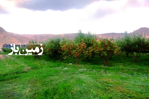 باغ سیب 1245 متر زمین کنار جاده اصلی تهران شمال روستای نمرود-4