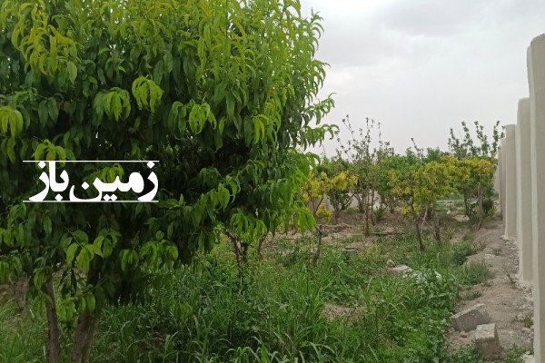 باغچه 500 متری در شهریار منجیل آباد جواز دار-2