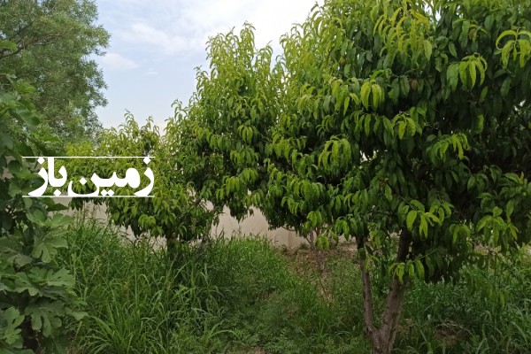 باغچه 500 متری در شهریار منجیل آباد جواز دار-4