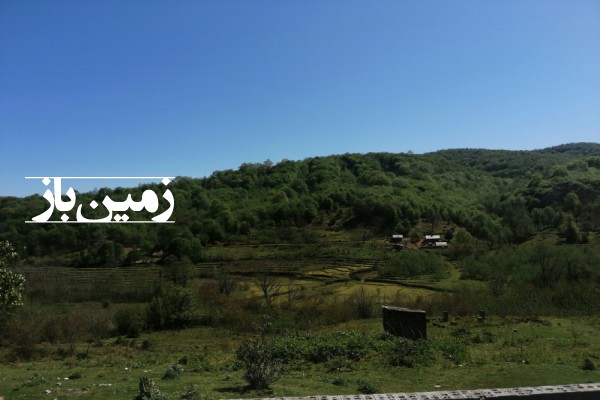 زمین مسکونی 815 متر روستای توریستی کچا شمال گیلان-1