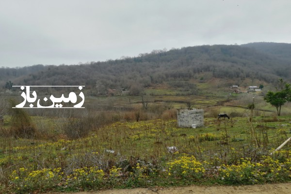 زمین مسکونی 815 متر روستای توریستی کچا شمال گیلان-2