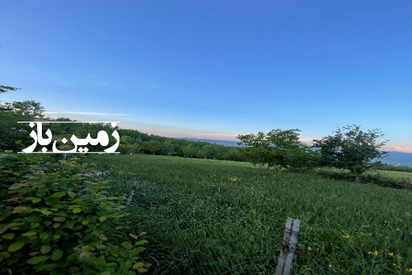 زمین باغی و کشاورزی ۵۰۰ متر روستای امره ساری بلوار کشاورزی-2
