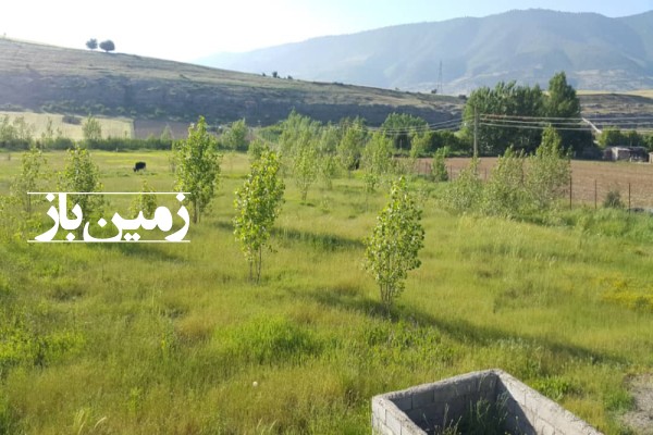 دو هکتار زمین کشاورزی در کیاسر گیلان-2